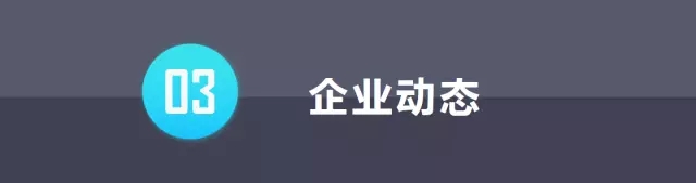 6.webp.jpg