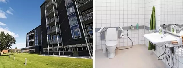 3.webp.jpg