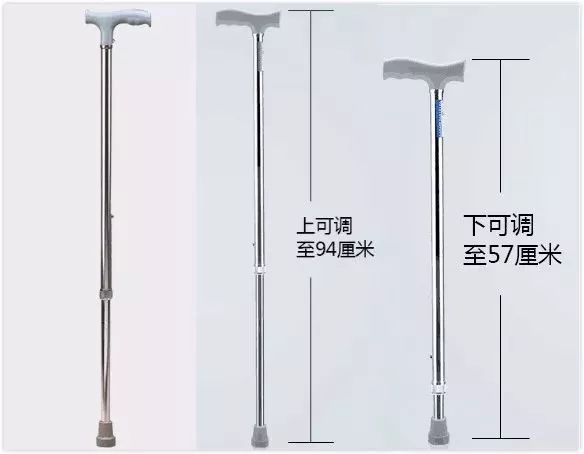 康養(yǎng)設(shè)施；老齡博覽會(huì)；保健品；機(jī)器人