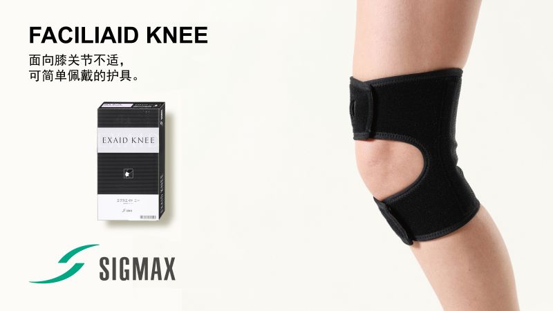FACILIAID KNEE-