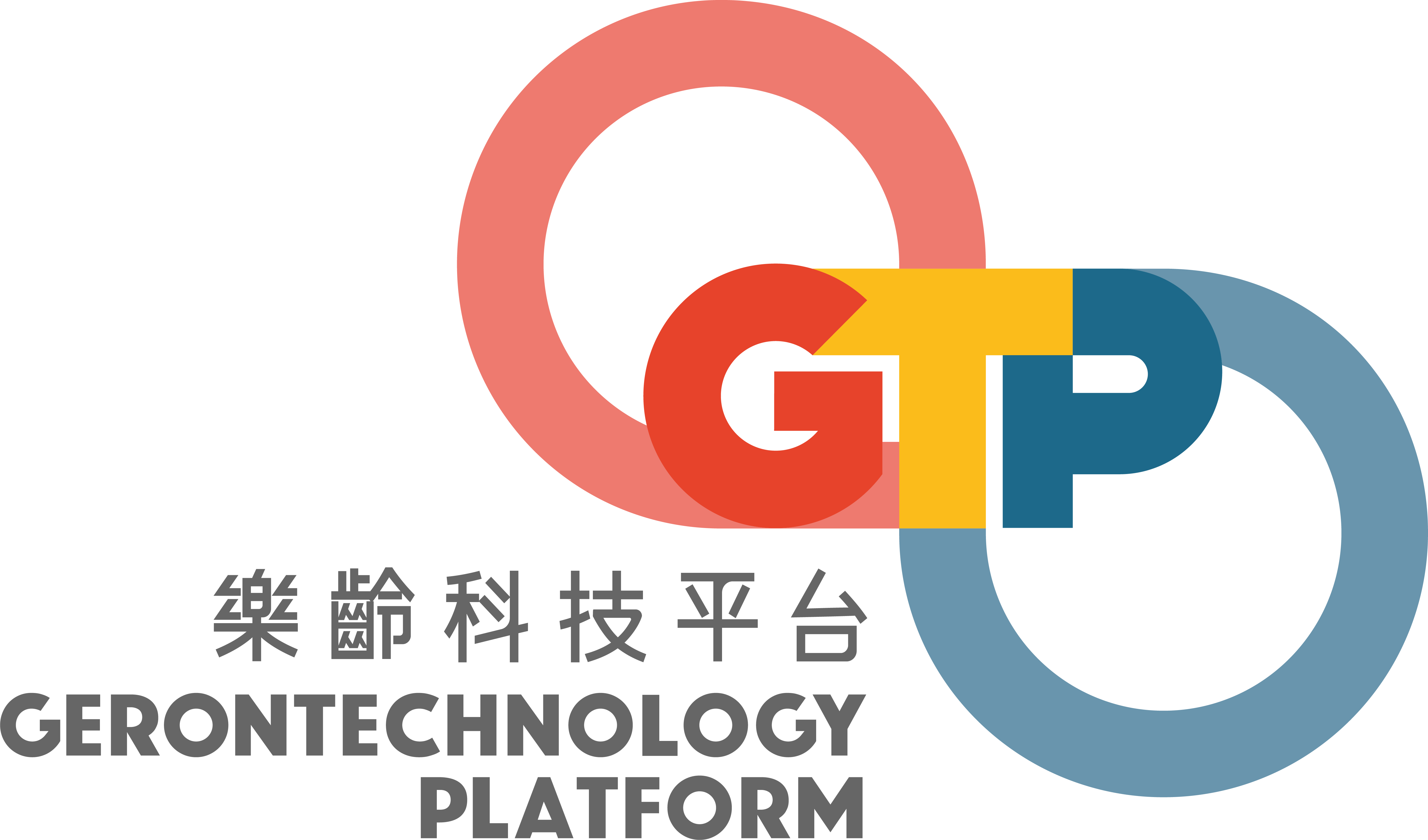 Gerontechnology Platform