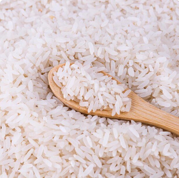 自然農(nóng)法種植高山梯田元侎絲苗米-